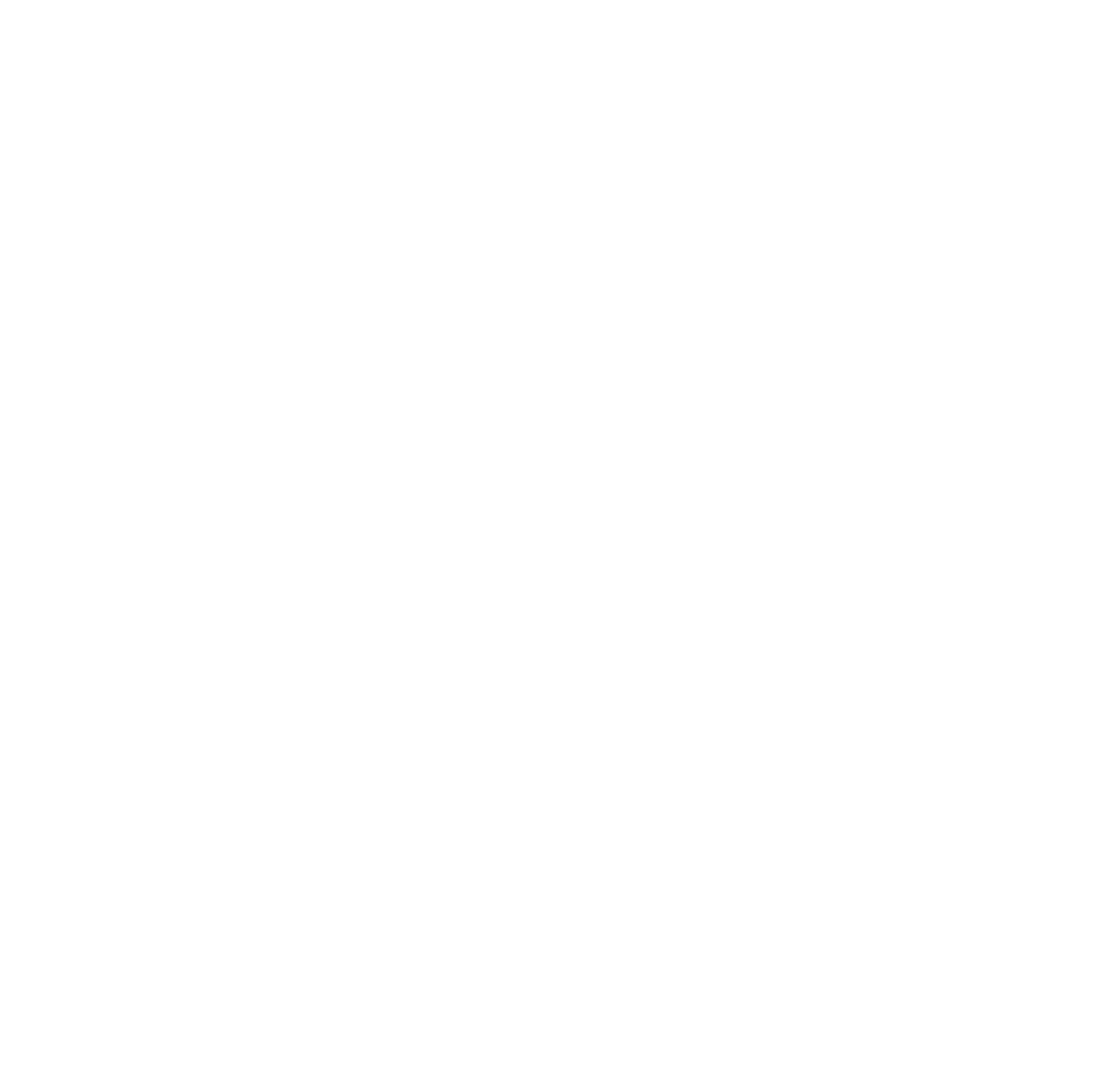 ИНТЕЛЛЕКТ